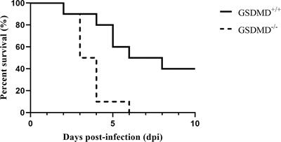 Gasdermin D protects against Streptococcus equi subsp. zooepidemicus infection through macrophage pyroptosis